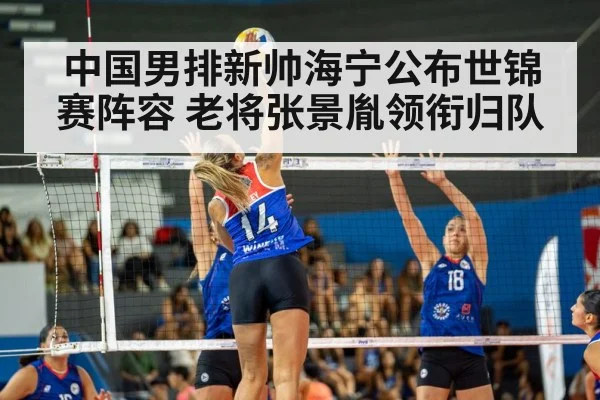volleyball match action