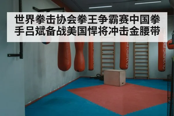 世界拳击协会拳王争霸赛中国拳手吕斌备战美国悍将冲击金腰带