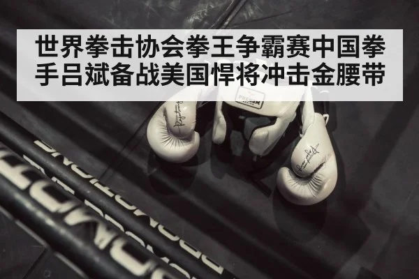 boxing ring gloves