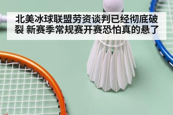 北美冰球联盟劳资谈判已经彻底破裂 新赛季常规赛开赛恐怕真的悬了